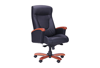 Fotolii pentru birou